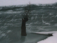 �吳�r�̑��`