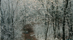 ��̒��̂܂񂳂��̉�